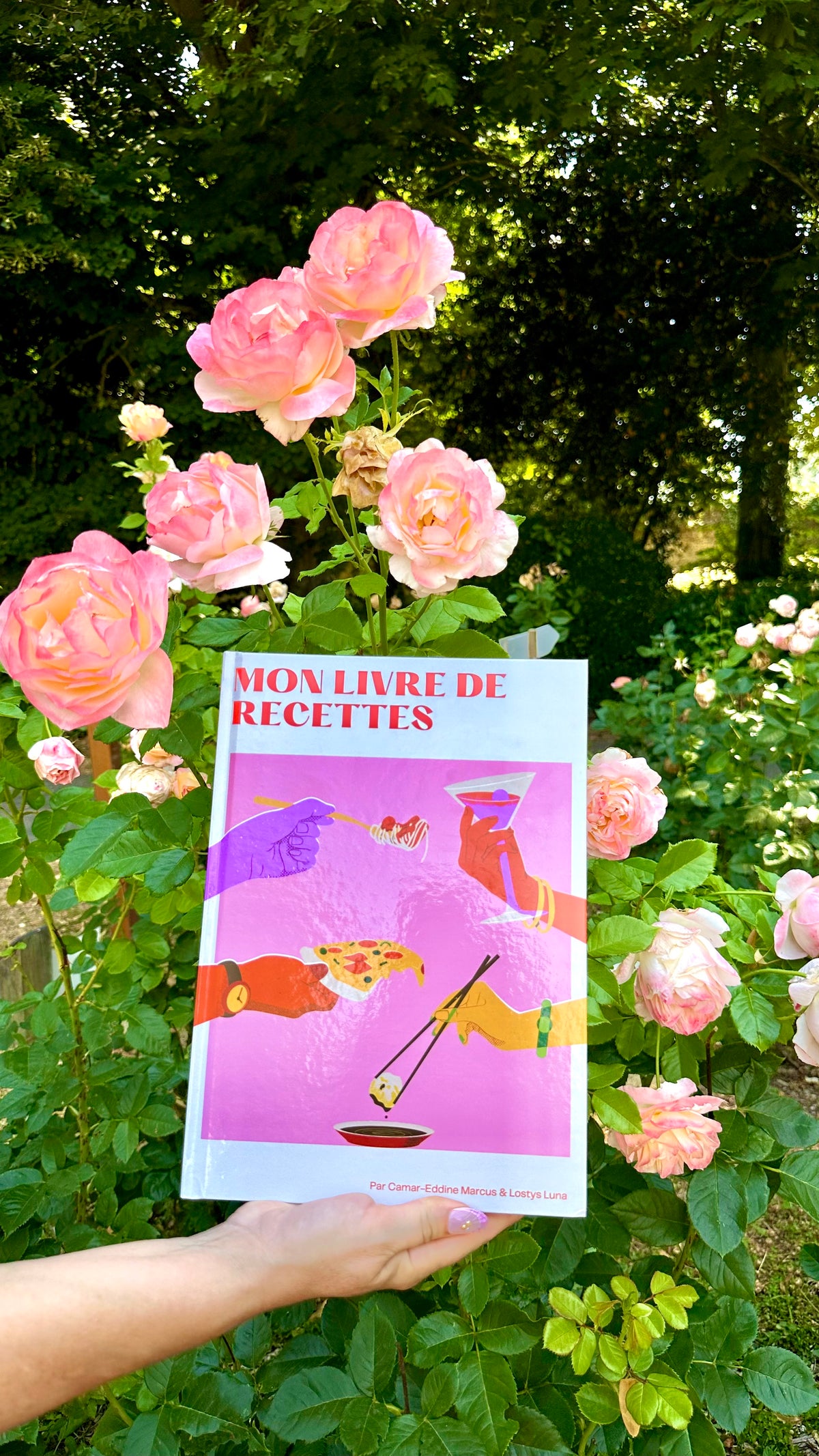 Mon livre de recettes E-BOOK